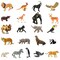 Childcraft Hand-Painted Zoo Animals, Assorted Types, Set of 21